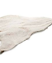 Euro Peixe SA Bild 7