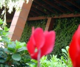 jardin-restaurante-02-g.jpg