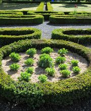 M&M Gartenbau AG Bild 7