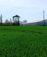 Leretrif Rossard Bâtiment image 2