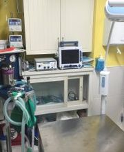 clinica veterinaria2.jpg