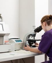 Dr. med. vet. Frey Artur Bild 9