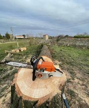 BC Service Élagage image 4