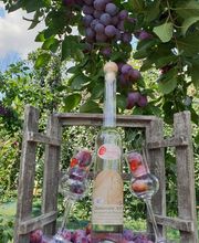 Distillerie Schneider Sàrl Bild 3