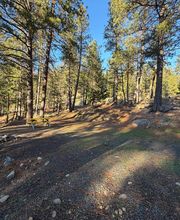 Rimrock Lake Resort image 17