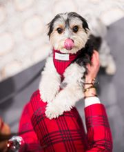 DE FILIPPO uomo GmbH Bild 4