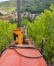 Colon Pierre SCEA image 4