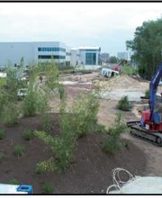 Peter Baggerarbeiten Bild 8