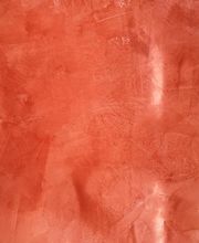 Salamandre Blanche image 18