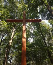 FriedWald Meroder Wald Bild 10