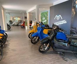 Rollerhaus König Store Bild 11