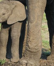 Loosli Reisen Bild 7