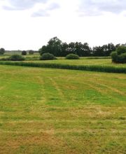 Hof Bode Inh. Jens Bode Bild 4