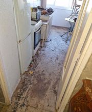 Jean-Claude Clerc image 13