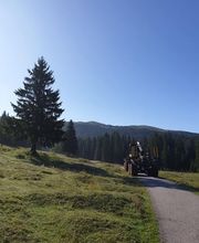 Entreprise forestière Daniel Ruch SA Bild 4