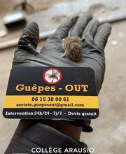 Guêpes Out image 20
