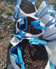 Ets René Soulard image 19