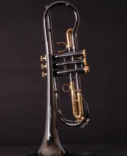 Robert Worischek Bild 3