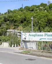 Gallery Professionale