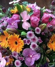 Efflorescence image 5