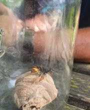 Cible En Vue image 8