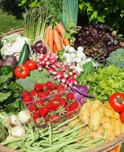 Jardins d'Imbermais image 3