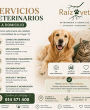 311983282-1-zLqKjDmZR31784360363426.png