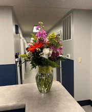 NWO Orthopedics and Sports Medicine image 3