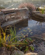 Ameline Arbora image 14