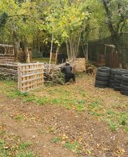 Gold Coast Game Zone image 5