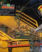 Arbo Raph image 4