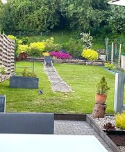 Les Myosotis image 4