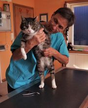 Tierarztpraxis rundumXund Bild 5