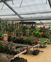 HORNBACH Gartencenter Magdeburg Bild 8