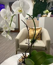 SureMED Aesthetics image 13