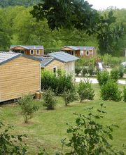 La noix de Pécany image 3