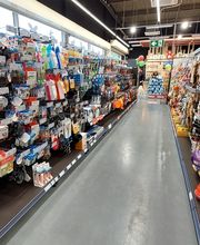 Tom&Co Lens image 12