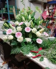 Gallery Cliente