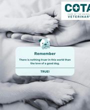 COTA Veterinary image 13