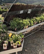 GAMM VERT VILLAGE image 5