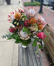 Preston Flowers image 11