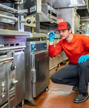 Pied Piper Pest, Termite & Lawn Service image 1