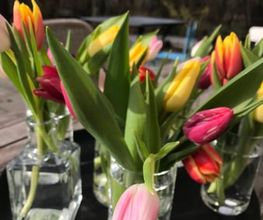 SEEKIND Bild 14