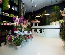 FOTO-HUNTZ-2.jpg