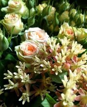 ART NATURAL stucki Bild 1