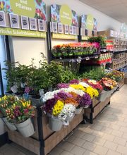 Lidl Bild 5