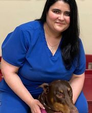 Towne Center Animal Hospital and Pet Hotel image 8