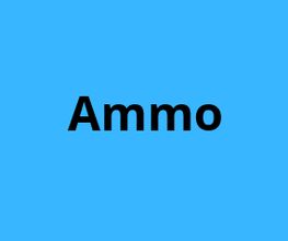 Ammo image 1