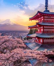 Visages du monde image 6