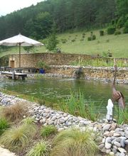 Dalbavie Franck image 1